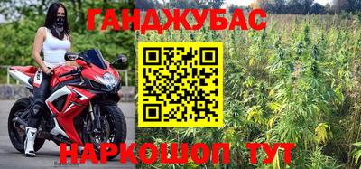 мяу мяу мука Кандалакша