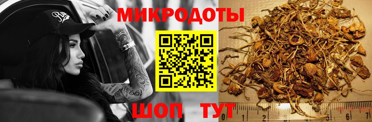 Галлюциногенные грибы ЛСД  Вход с VPN  Галлюциногенные грибы прущие грибы  Камышин 